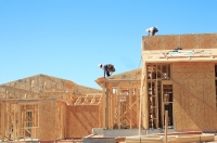 NORA Annual Report Showcases Housing Developments